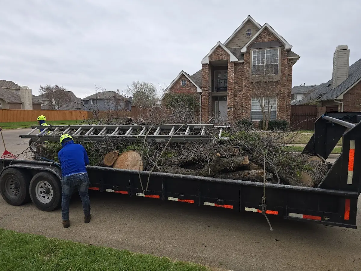 Expert Tree Fertilization with proper safety equipment in Bostwick